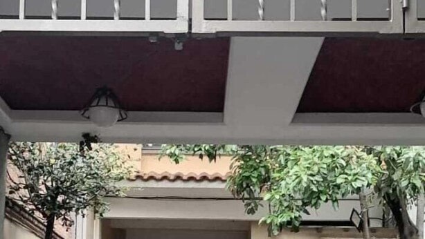 Un patio con un sendero empedrado, una reja con el cartel "CIUDAD DE MÉXICO" y un perro a la derecha.