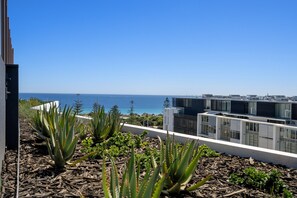 House | Property grounds - Bright Studio in Trendy North Fremantle (Perth)