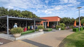 House | Property grounds