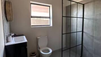 Shower, towels, soap, toilet paper