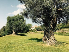 المنطقة المحيطة بالمنشأة