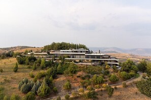 A modern multi-story building with a flat roof, surrounded by a landscaped garden with various shrubs and trees. - Ananti Resort & Spa (Trikala)