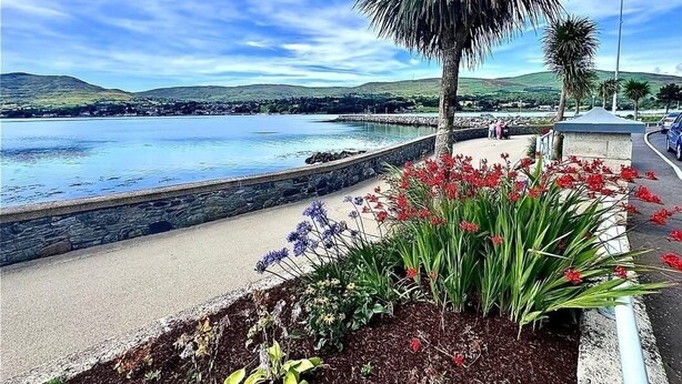 A waterfront promenade with a stone wall, palm trees, and flower beds. - Warrenpoint Centre, Town House Co. Down
Perfect to explore Carlingford Lough (Warrenpoint)