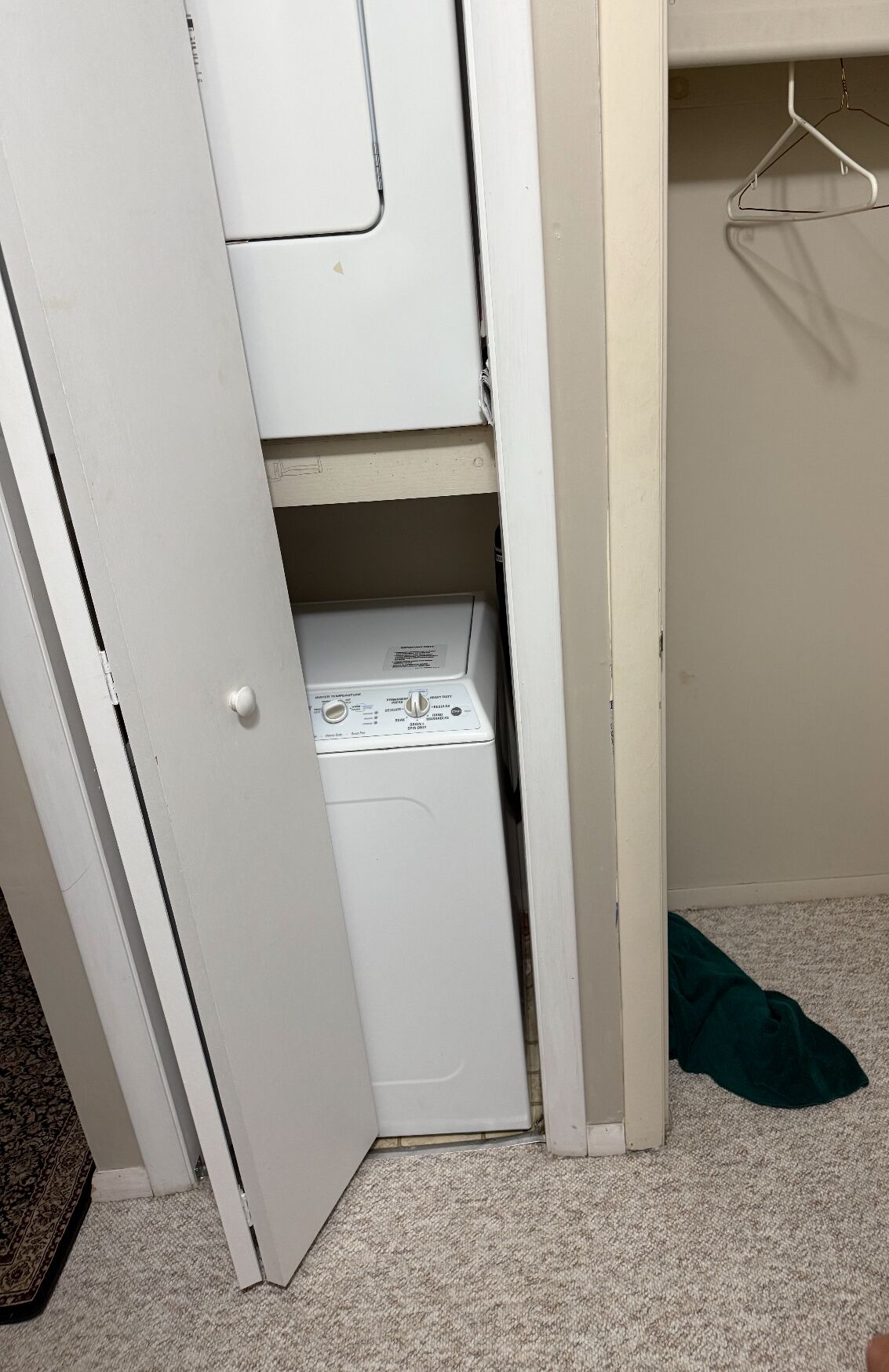 A white door with a small laundry machine inside, a closet with hanging space, and a carpeted floor.