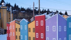 Eksteriør