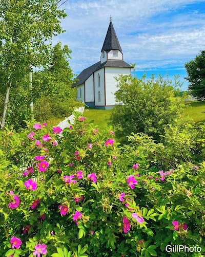 Luxury rooms, brewery, and restaurant with local dishes and Newfoundland views