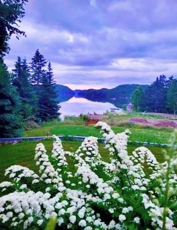施設の敷地. Luxury rooms, brewery, and restaurant with local dishes and Newfoundland views