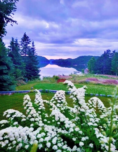 Luxury rooms, brewery, and restaurant with local dishes and Newfoundland views