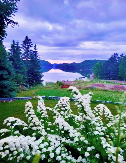 Luxury rooms, brewery, and restaurant with local dishes and Newfoundland views