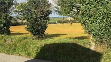 Khuôn viên nơi lưu trú