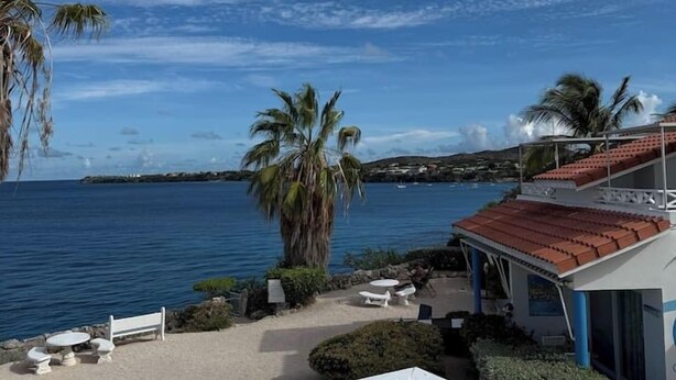 A coastal view with a clear sky, palm trees, and a building with a red roof. - Uncle Bob`s Reef: Oceanfront Paradise – 1 Bedroom, 2 Bath Townhome (Sabana Westpunt)