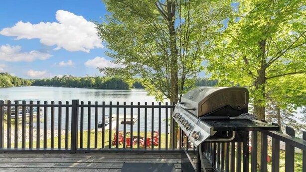 Une terrasse avec un barbecue donnant sur un lac, entourée d’arbres et d’une clôture.