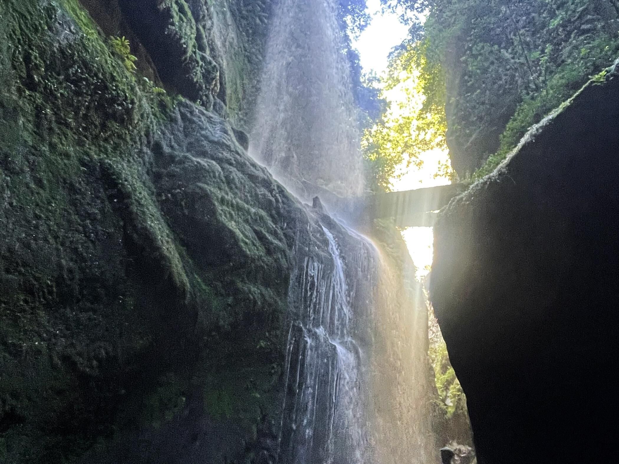 Una cascata in una zona boschiva, con la luce del sole che filtra tra gli alberi.