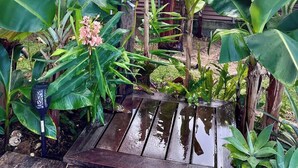 A garden with large banana leaves, a wooden deck, and a metal bird feeder.