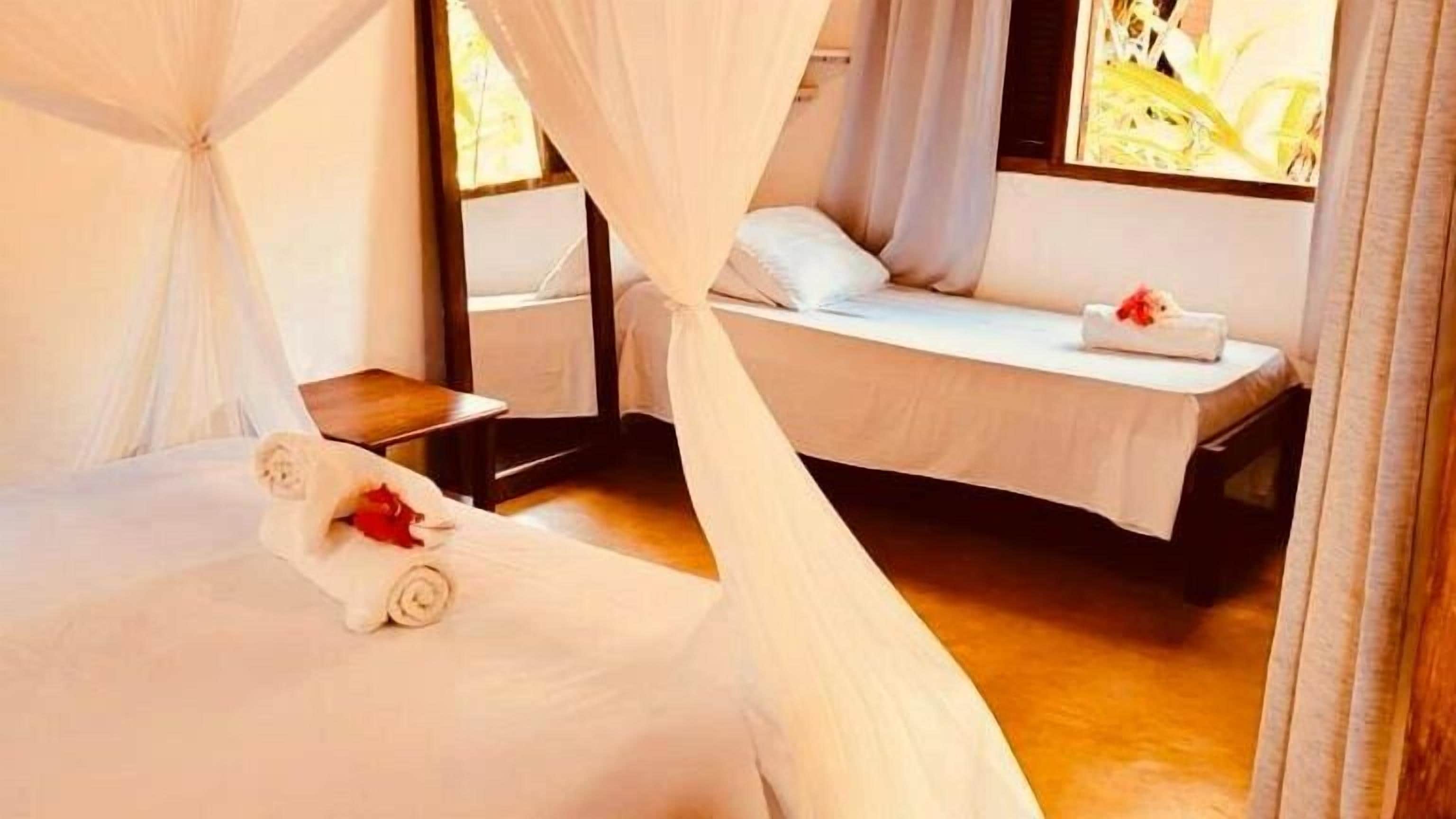 트리플룸 | 무료 WiFi