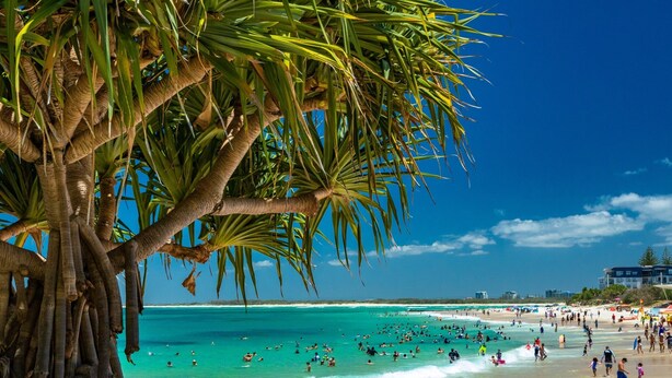 Een strand met palmbomen, helder turquoise water en mensen die van het strand genieten.