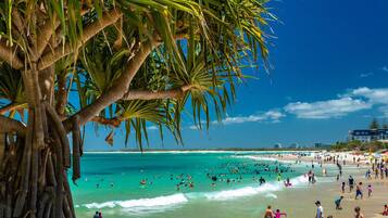 Apartment | View from property