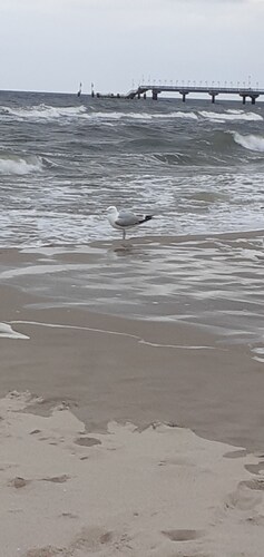 Ferienwohnung "Linde", gemütliche Dachgeschosswohnung mit Balkon