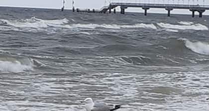 Ferienwohnung "Linde", gemütliche Dachgeschosswohnung mit Balkon
