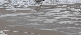 Vacation apartment "Linde", cozy attic apartment with balcony