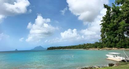 đŽ Halte LucĂ©enne : Votre Oasis CrĂ©ole Ă 900m des Plages ! đïž