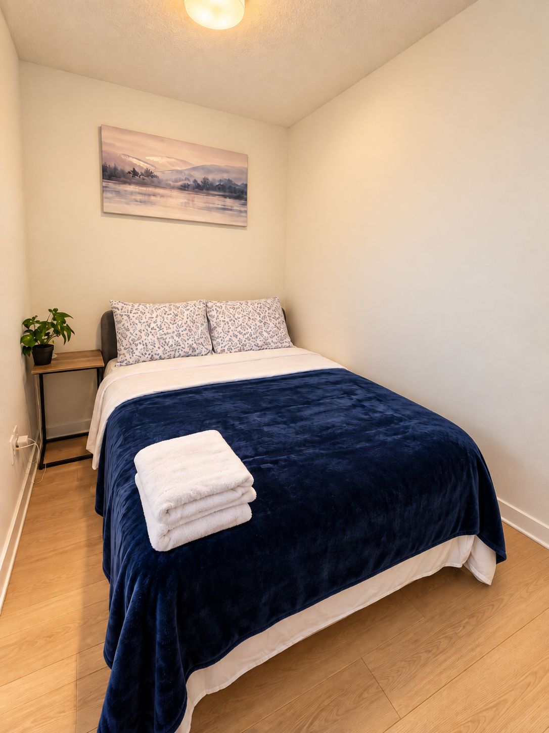 Een slaapkamer met een bed, kussens, een nachtkastje met een plantje en een schilderij aan de muur.