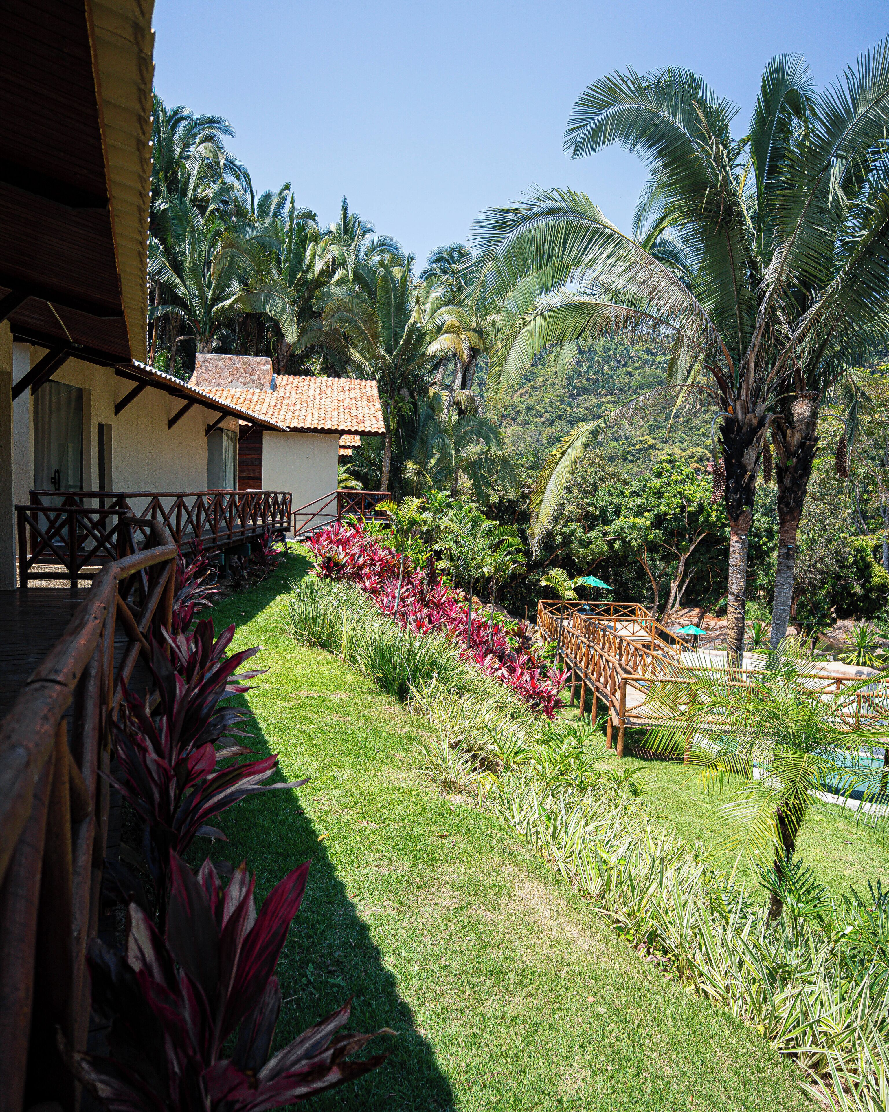 A tropical garden with palm trees, a pool, and a wooden deck.