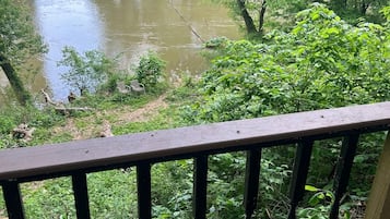 Terrain de l’hébergement