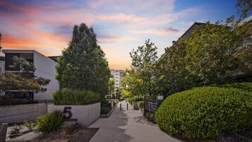 Apartment | Property grounds