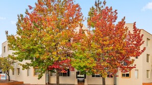 A building with a beige exterior, numbered 54, and a tree in front with autumn-colored leaves. - Stylish 1-bed Stay With Balcony & Study (Canberra)