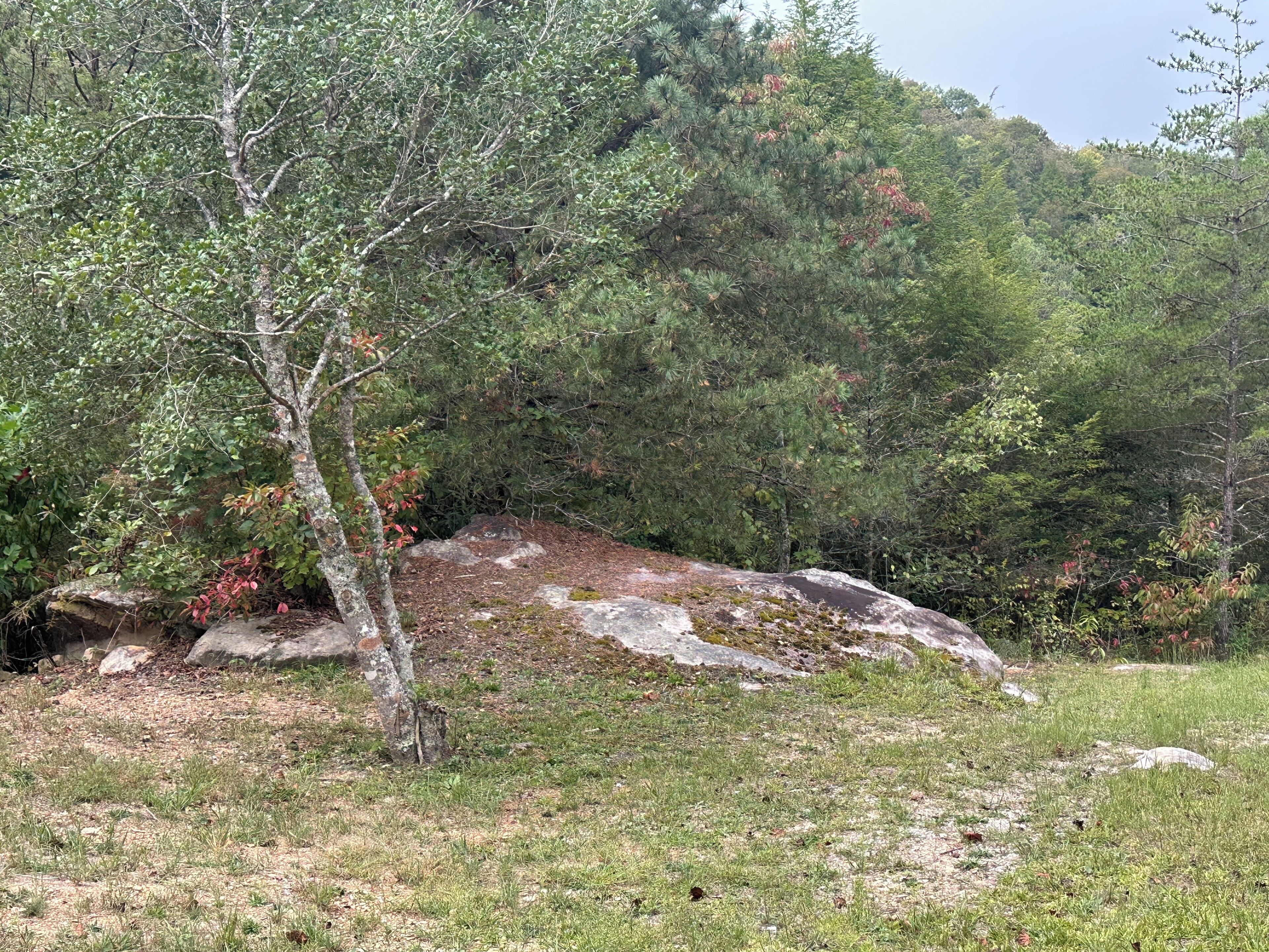 A natural landscape with a grassy area, a large rock formation, and dense trees.