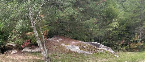 A natural landscape with a grassy area, a large rock formation, and dense trees.