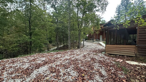 A gravel driveway with scattered leaves, surrounded by dense trees.