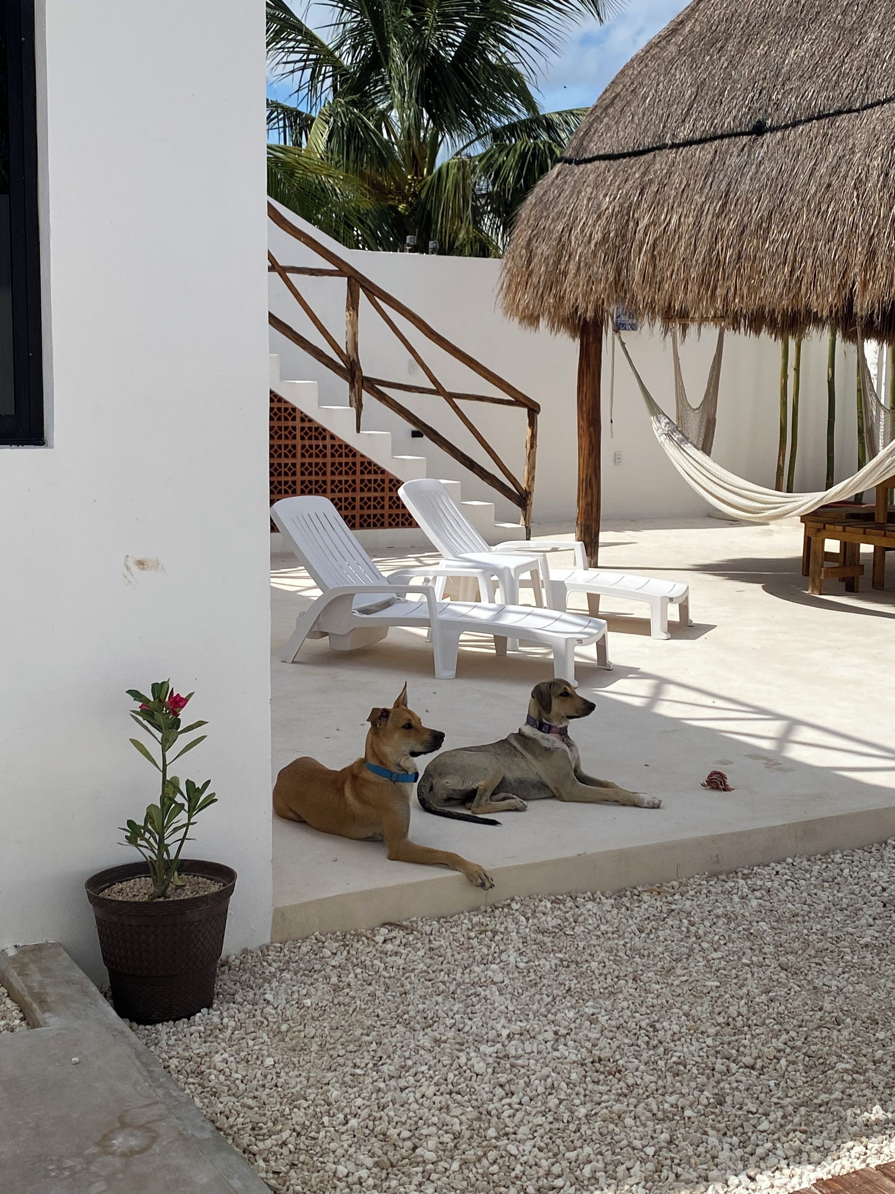 Áreas de la propiedad