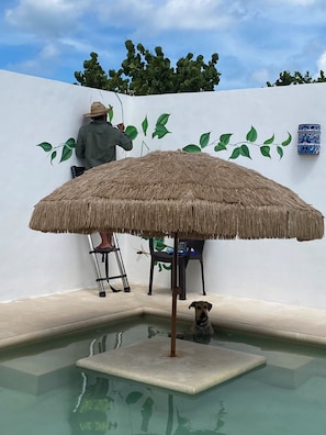 Khuôn viên nơi lưu trú