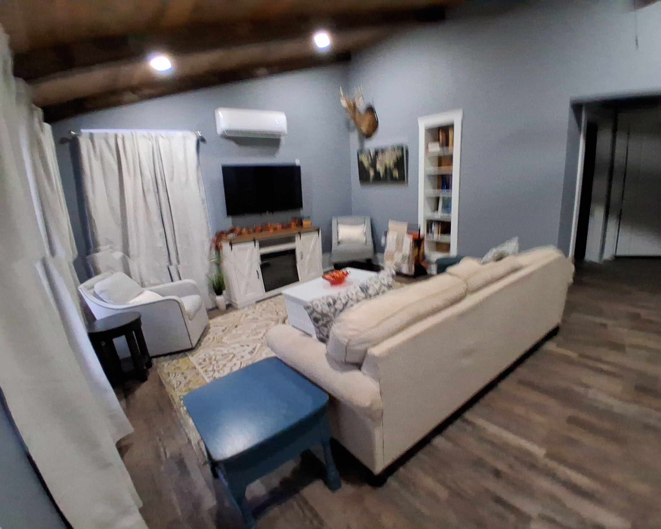 Smart TV, fireplace, books