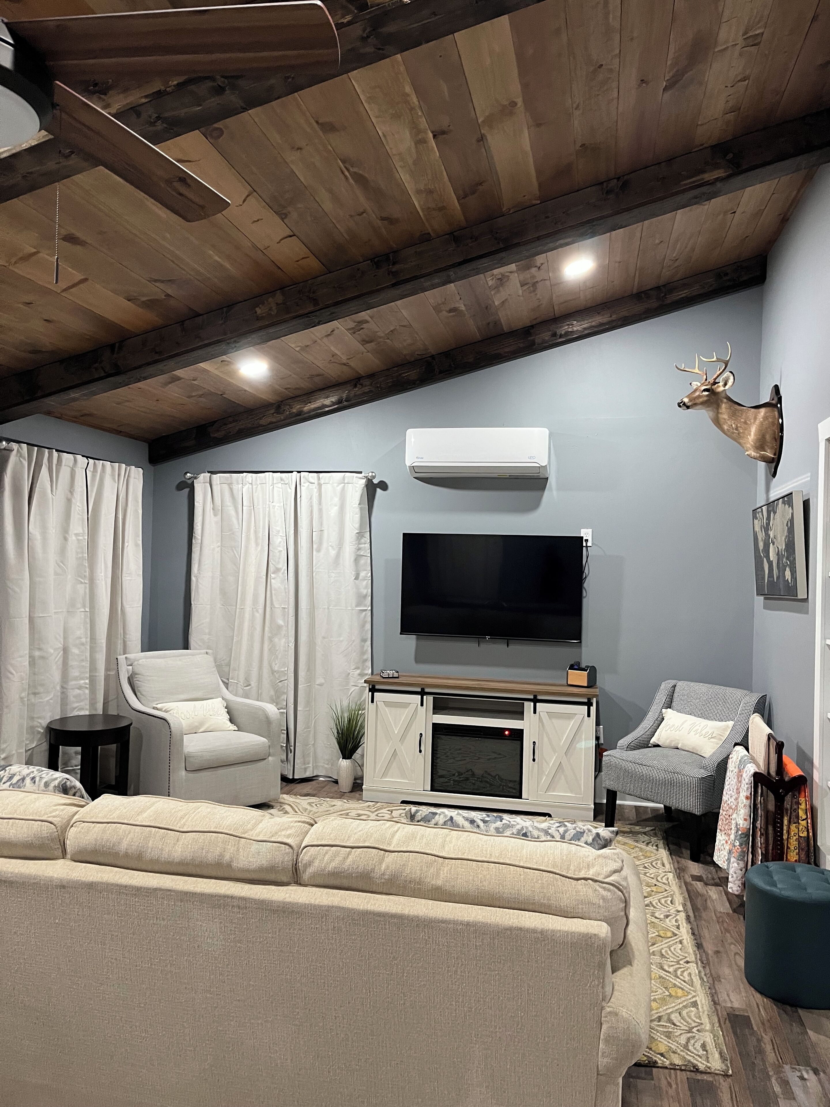 Smart TV, fireplace, books