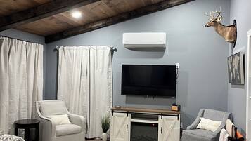 Smart TV, fireplace, books