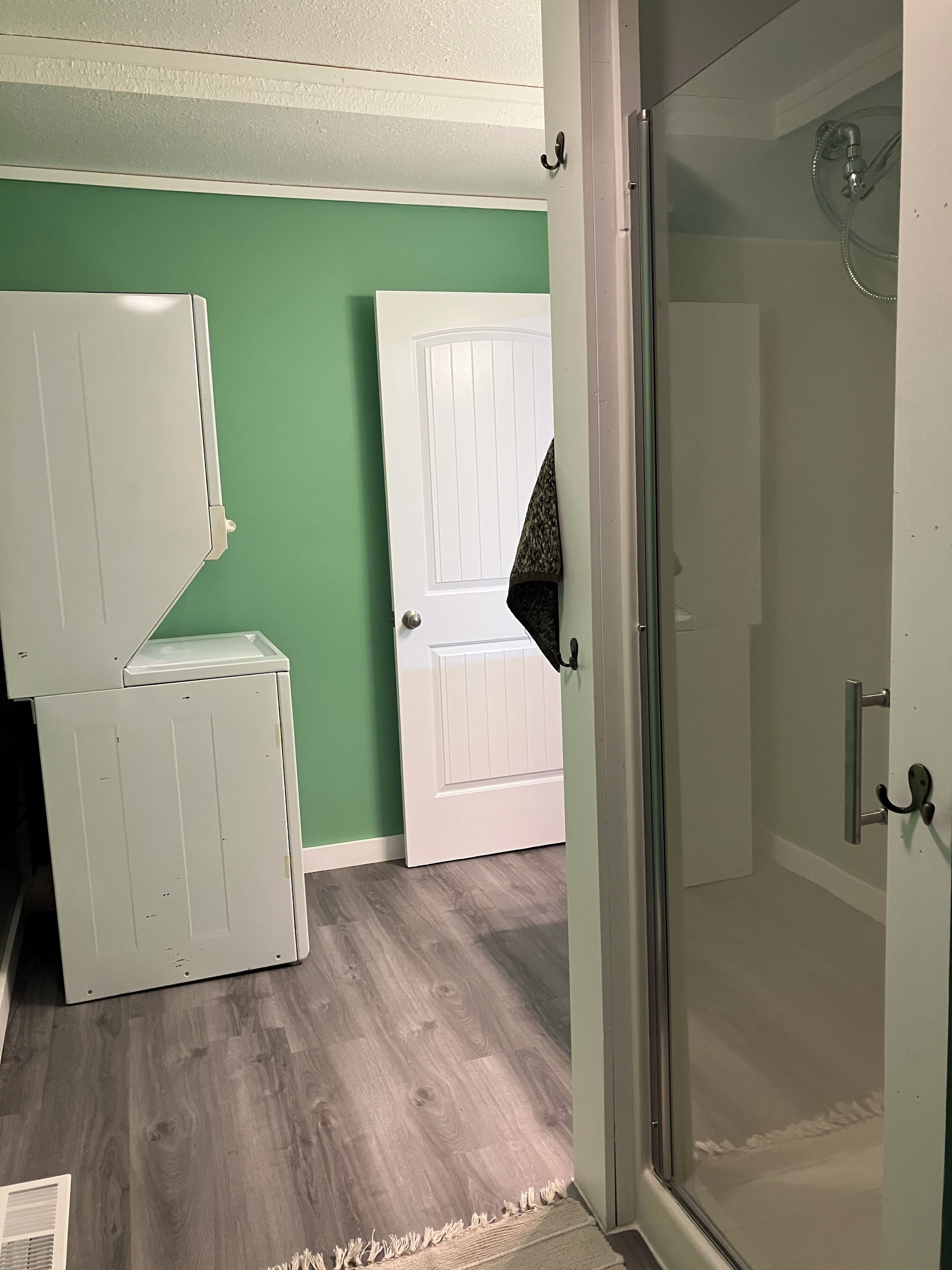 Une pièce avec une douche, une porte blanche et un mur vert.