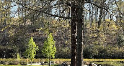 Cabin on secluded horse farm with stocked pond.