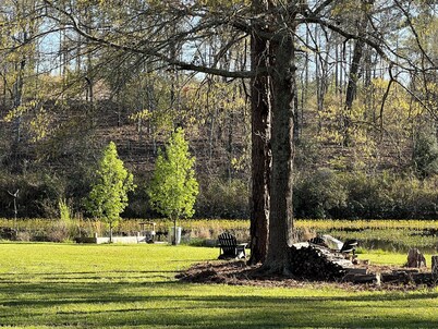 Cabin on secluded horse farm with stocked pond.