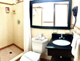 Single Room, 1 King Bed, Non Smoking | Bathroom | Shower, towels, soap, shampoo