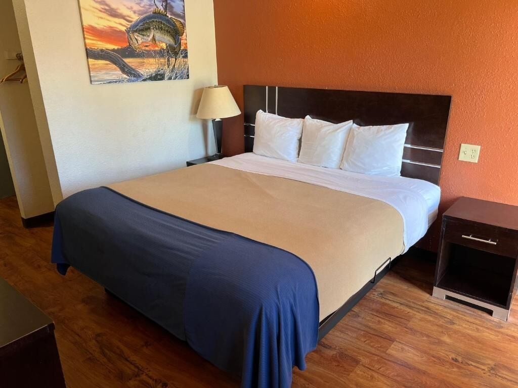 Habitación individual, 1 cama King size, para no fumadores | Escritorio y wifi gratis 