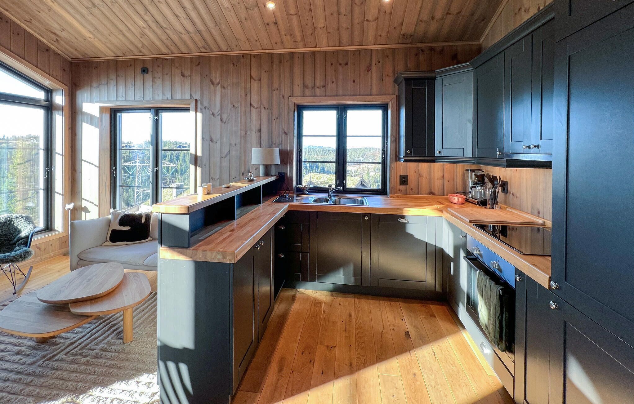 Kühlschrank, Ofen, Herdplatte, Geschirrspüler