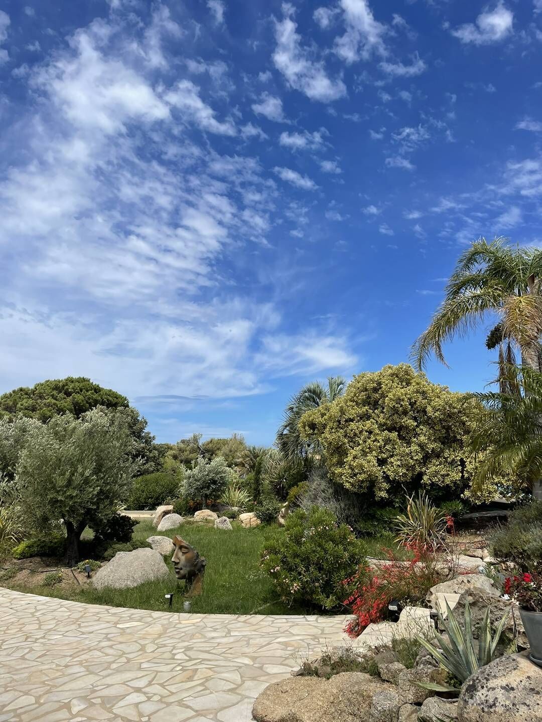 Área da propriedade