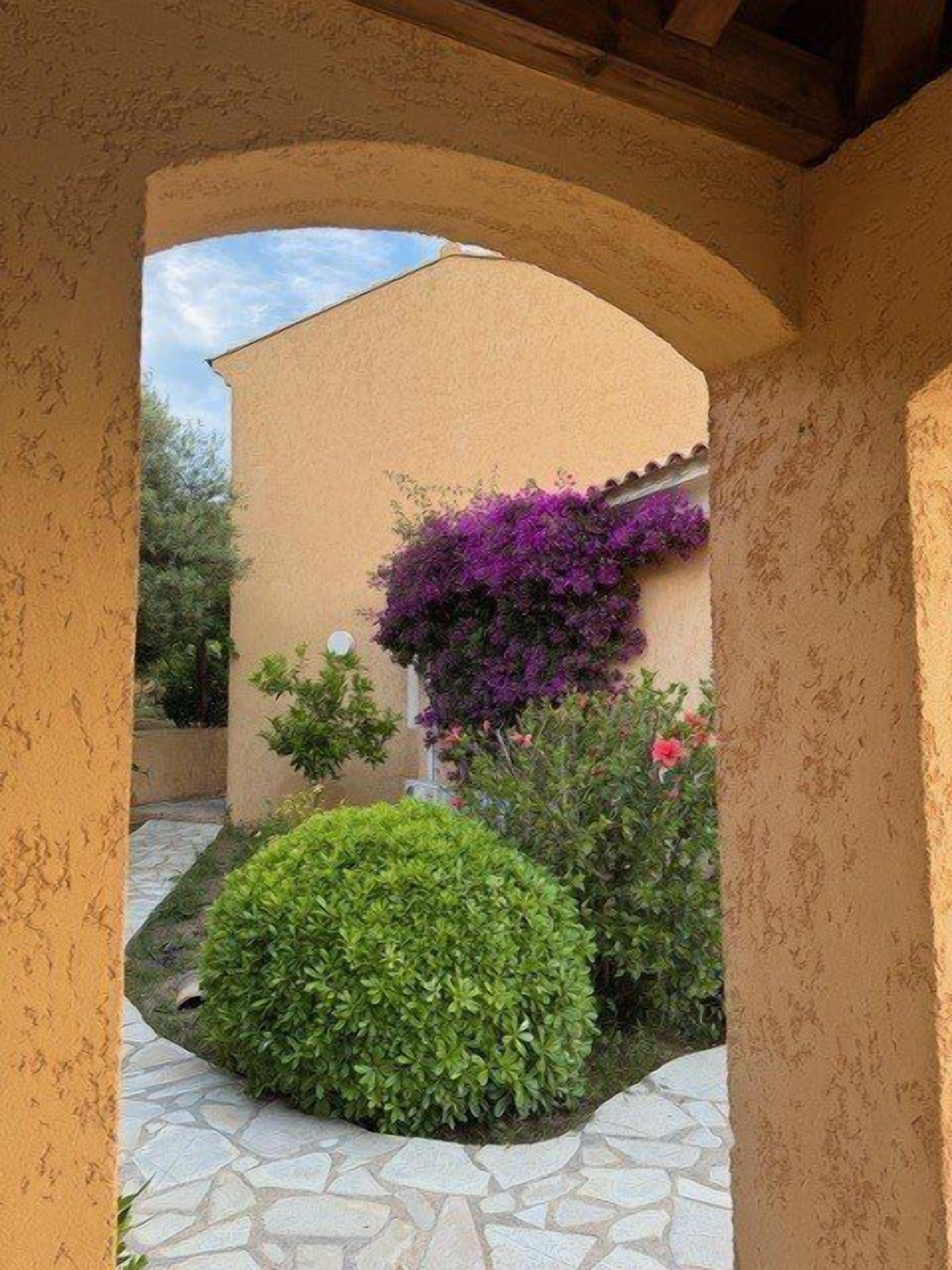 Ein Innenhof mit einem gepflasterten Weg, einem kleinen Strauch und einer Mauer mit violetten Blütenpflanzen.