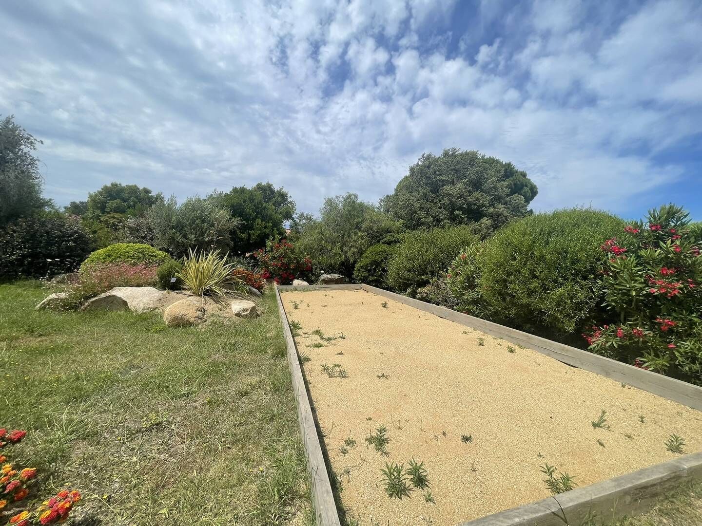 Un jardin avec un chemin de gravier, différentes plantes et des arbres.
