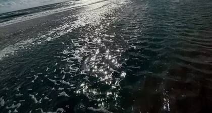 Grace Palace: Brand new, fully furnished apartment.