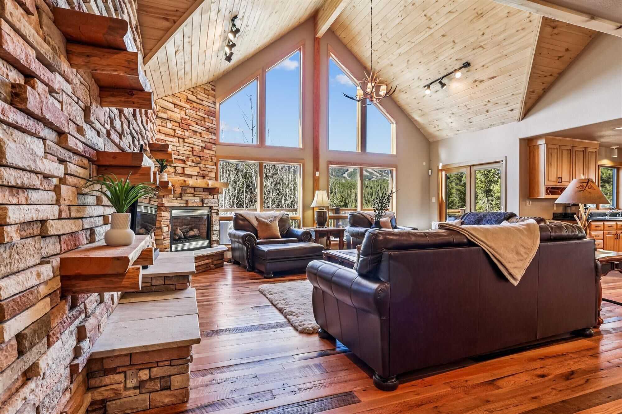 TV connectée, cheminée, espaces bureaux