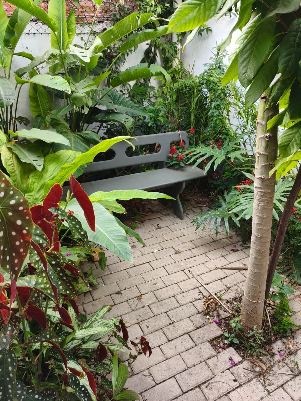 A garden with a bench surrounded by various plants and a brick pathway.